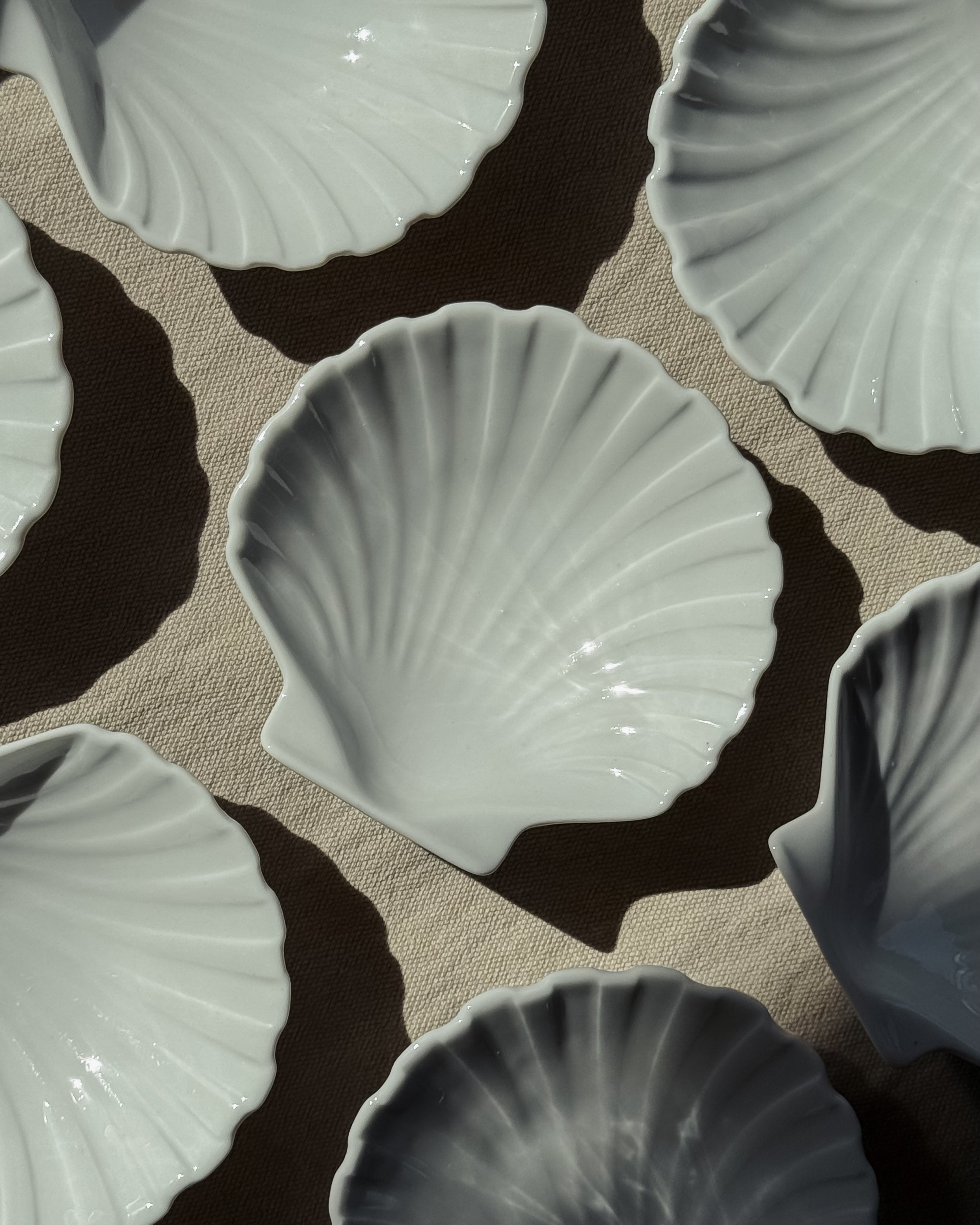 Porcelain Shell Plates