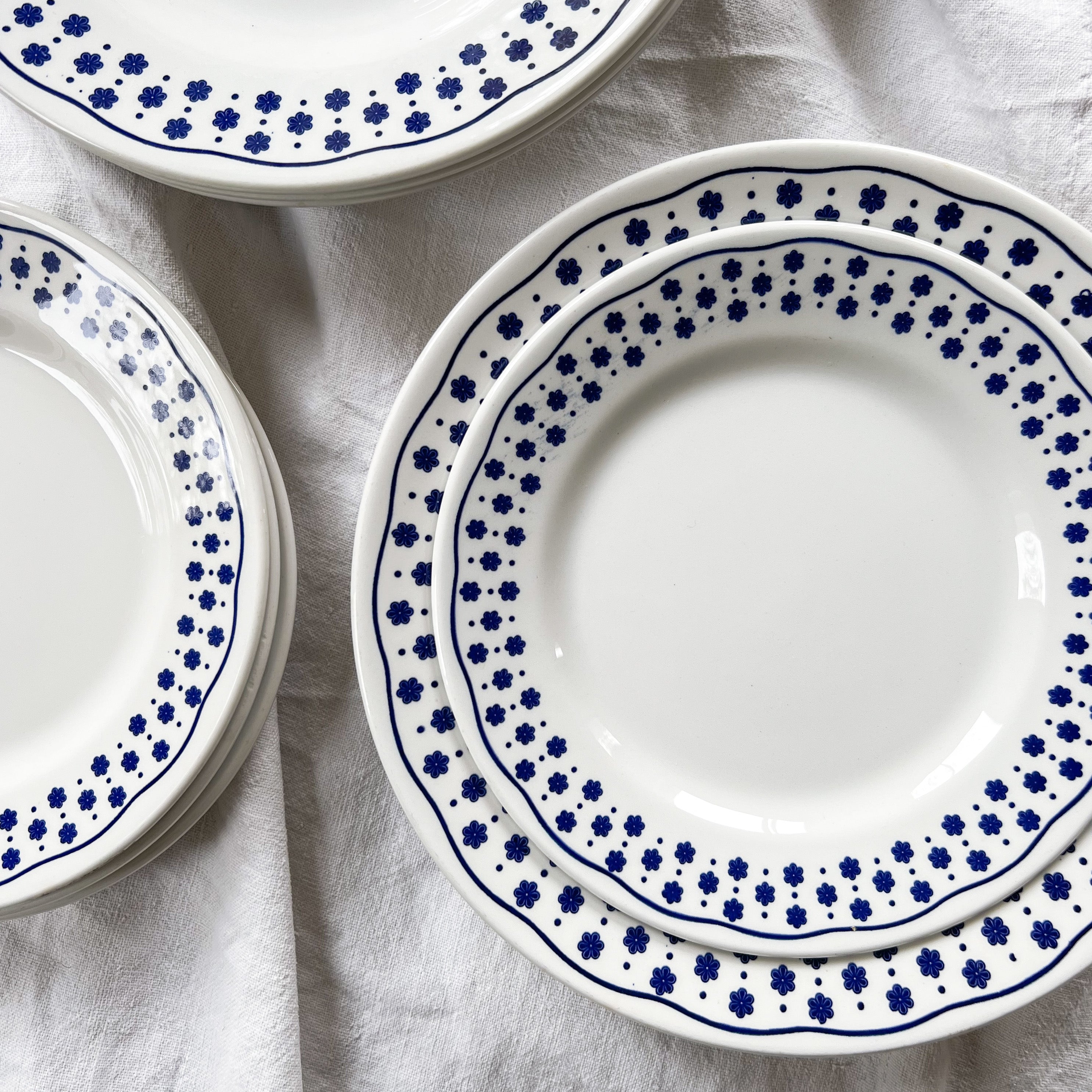 Blue Floral Plates