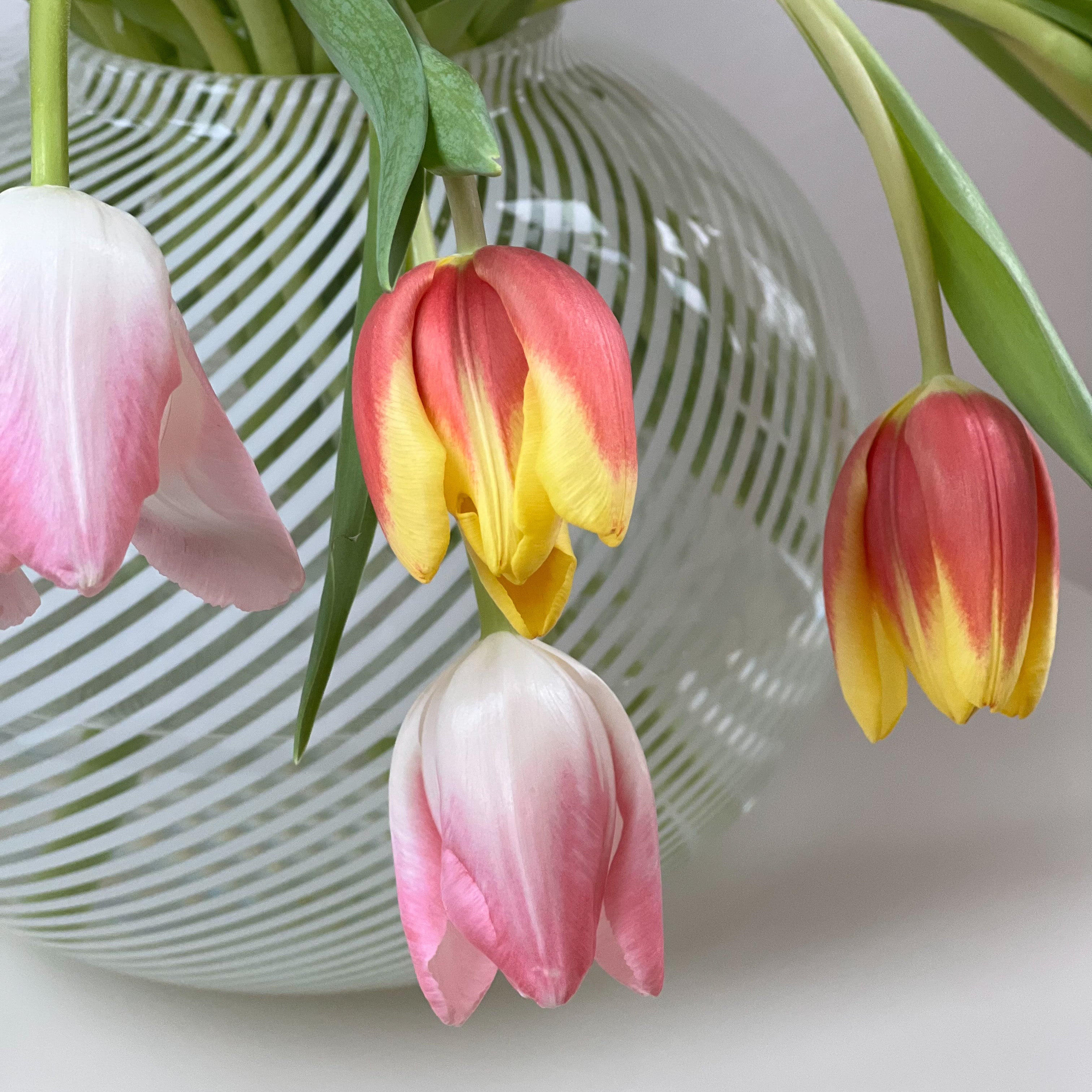 VeArt Viligrana Vase